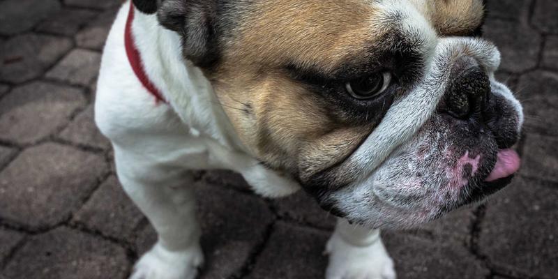 穿越亿年时光：张家界黄龙洞探秘，在定海神针下泛舟响水河的复古之旅